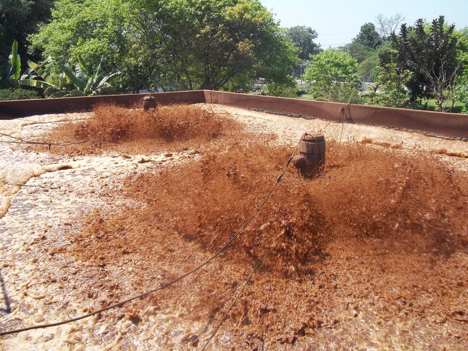 Proses Aerasi Biologis pada Kolam Pengolahan Air Limbah Industri